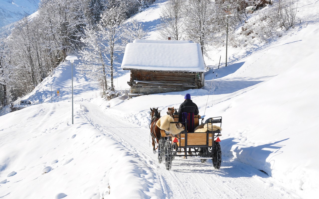 Pferdekutschenfahrt am Waldweg durch die Winterlandschaft, kleine Holzh&uuml;tte am Wegrand